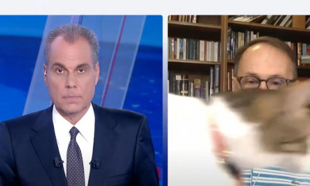 Όταν η γάτα του Νίκου Σύψα "παρεμβαίνει" σε δελτίο ειδήσεων!